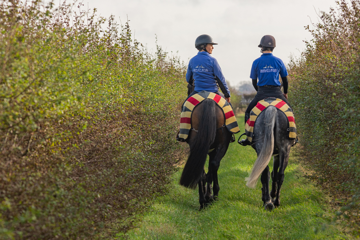 Op slechts 2 km van het strand.